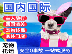 杭州萧山国际宠物托运 【国